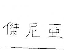 傑尼亞
