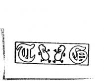 TG 花生圖