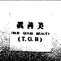 真善美 TRUE GOOD BEAUTY