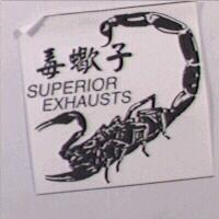 毒蠍子及圖