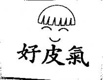 好皮氣及圖