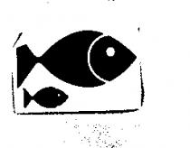 雙魚圖