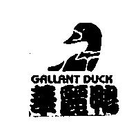 華麗鴨 GALLANT DUCK 及圖