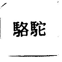 駱駝