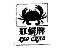 紅蟳及圖 RED CRAB