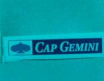CAP GEMINI+Device in colors