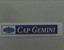 CAP GEMINI+Device in colors