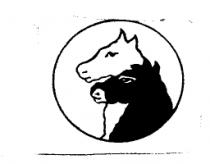 雙馬圖