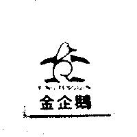 KING PENGUIN 金企鵝及圖