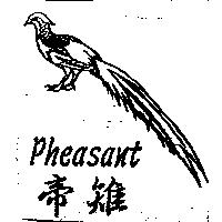 帝雉及圖 Pheasant