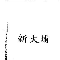 新大埔