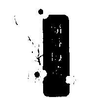 鬍鬚梅花及圖
