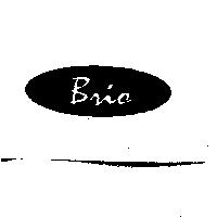 BRIO 及圖