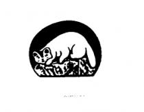 銀貂設計圖