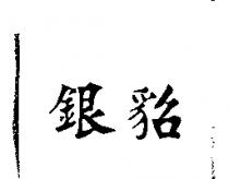 銀貂