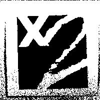 X2 Logo