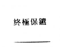 終極保鑣