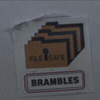 FILE SAFE BRAMBLES 圖案