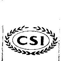 CSI 及圖