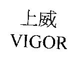 上威 VIGOR