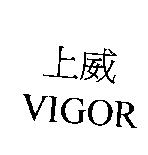 上威 VIGOR