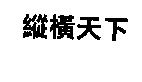 縱橫天下