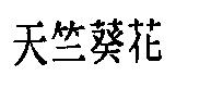 天竺葵花