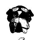 新格服裝開發股份有限公司標章