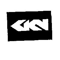 GKN LOGO 
