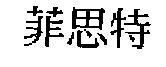 菲思特