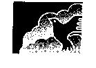 鳥設計圖