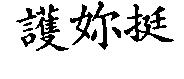 護妳挺