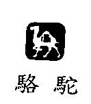 駱駝及圖