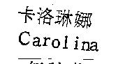 卡洛琳娜 Carolina