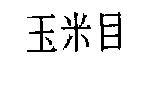玉米目
