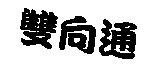 雙向通