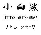 小白鯊 LITTER WHITE-SHARK リトル シセ–ワ