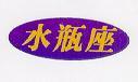 水瓶座