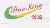 堡琦 Bao King 和圖案