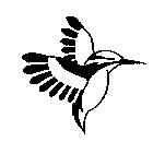 鳥圖