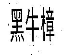 黑牛樟