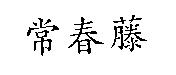常春藤