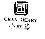 小紅莓及圖 CRAN BERRY