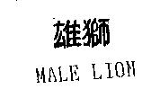 雄獅 MALE LION
