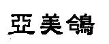 亞美鴿