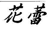 花蕾