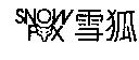 雪狐 SNOW FOX 及圖