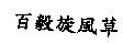 百毅旋風草