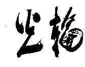 光輪