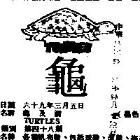龜及圖 TURTLES 
